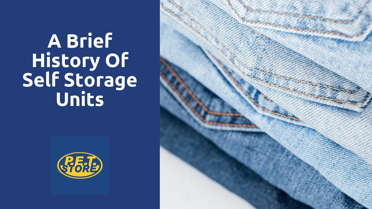 A Brief History of Self Storage Units