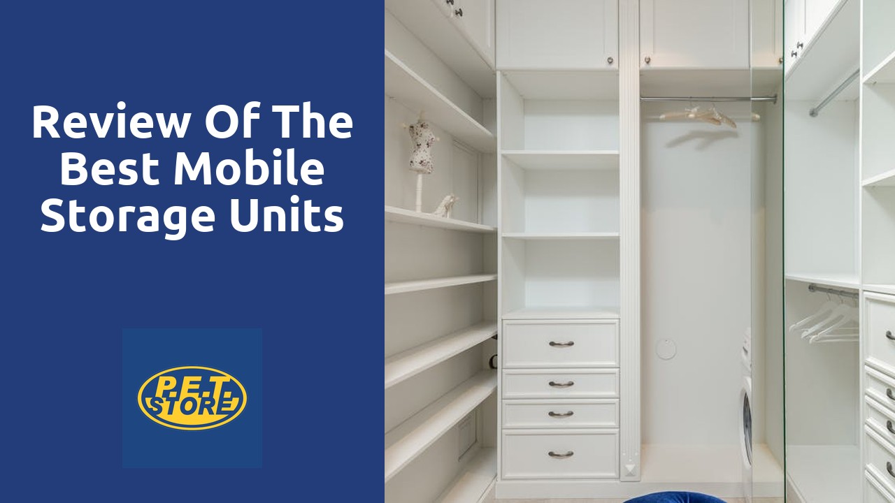 Review of the Best Mobile Storage Units