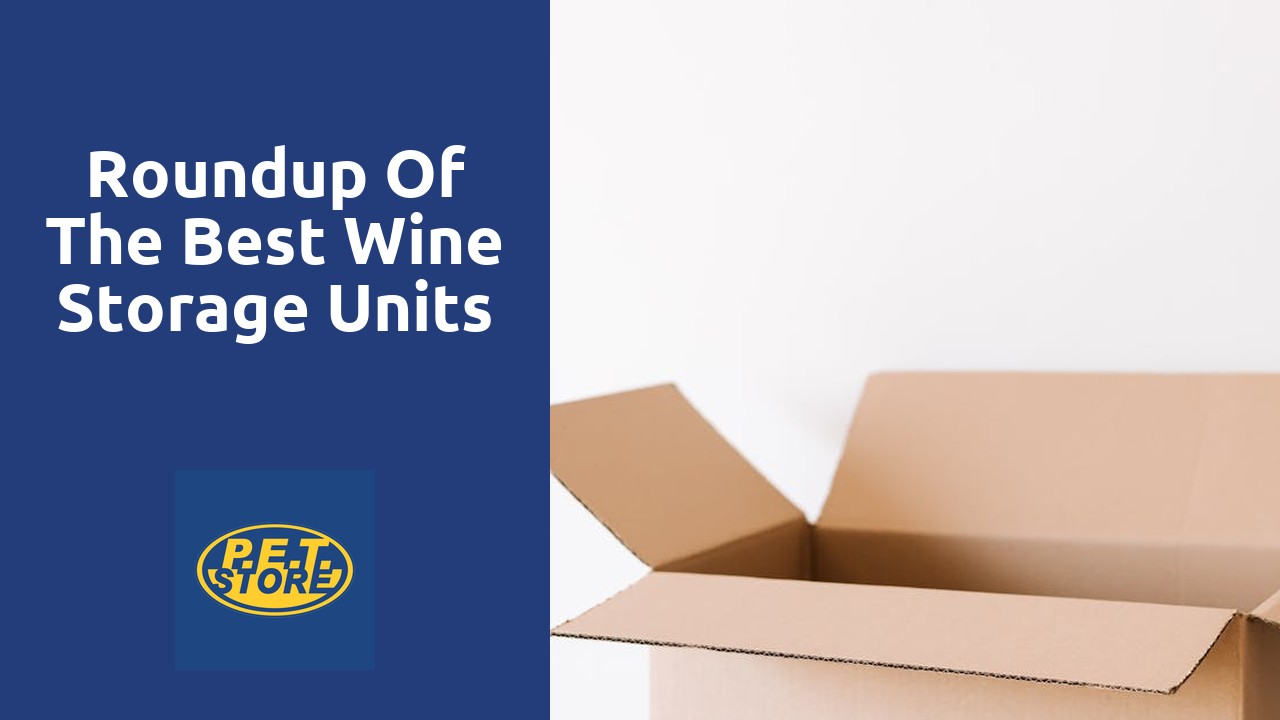 Roundup of the Best Wine Storage Units