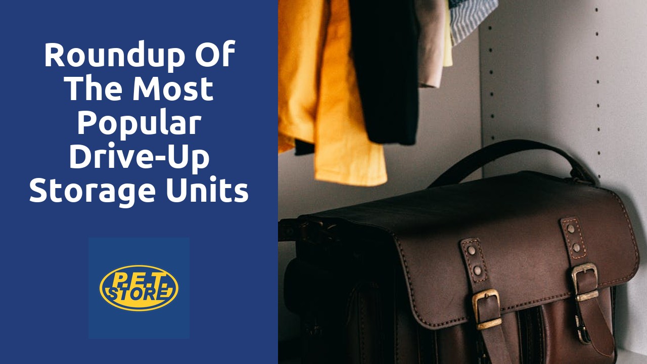 Roundup of the Most Popular Drive-Up Storage Units