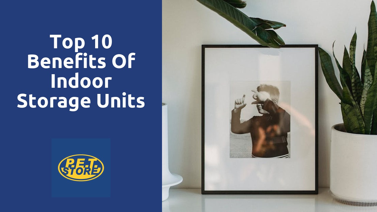 Top 10 Benefits of Indoor Storage Units