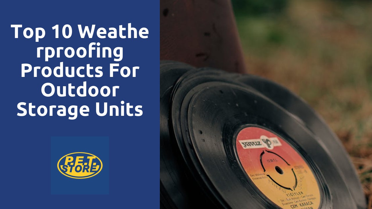 Top 10 Weatherproofing Products for Outdoor Storage Units