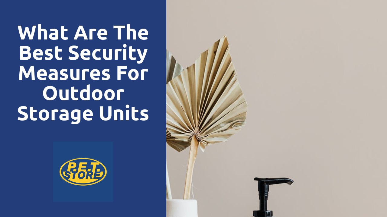 What are the Best Security Measures for Outdoor Storage Units