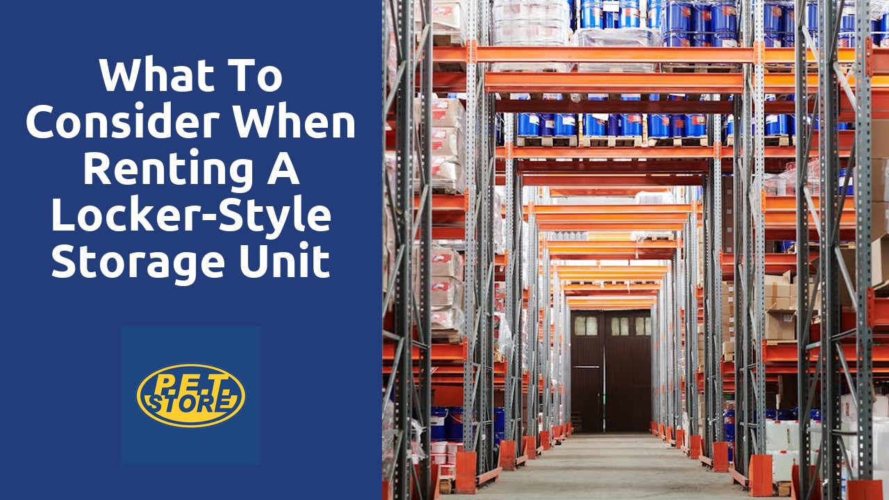 What to Consider When Renting a Locker-Style Storage Unit