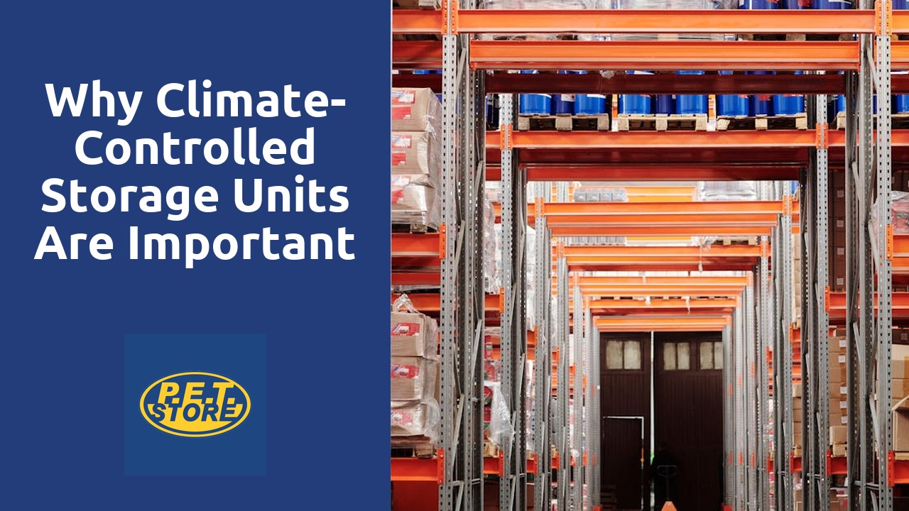 Why Climate-Controlled Storage Units are Important