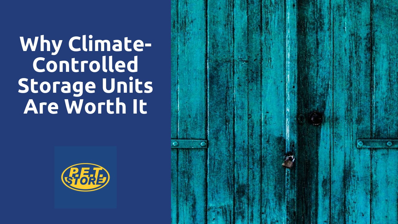 Why Climate-Controlled Storage Units Are Worth It