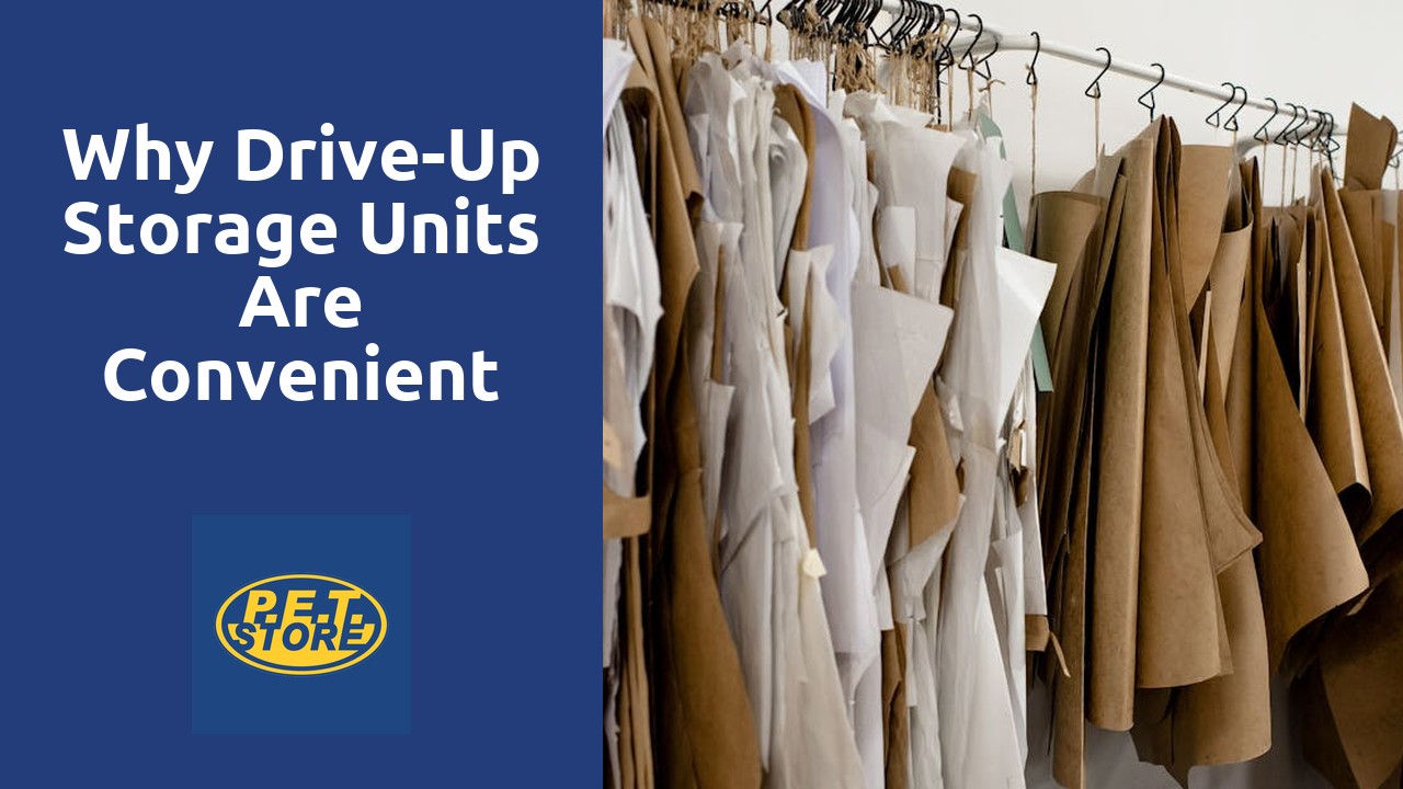 Why Drive-Up Storage Units Are Convenient