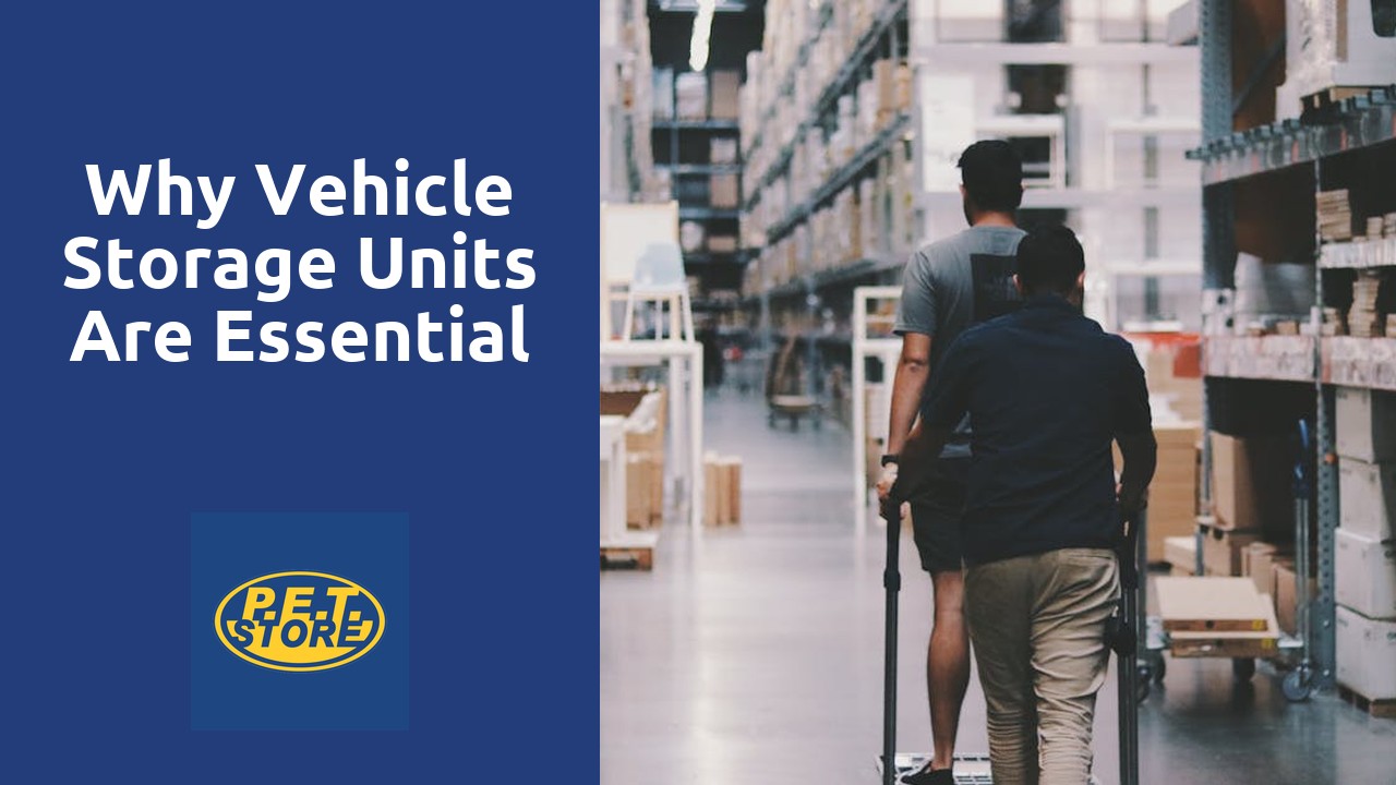 Why Vehicle Storage Units Are Essential