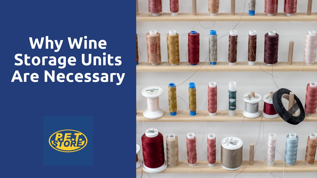 Why Wine Storage Units Are Necessary