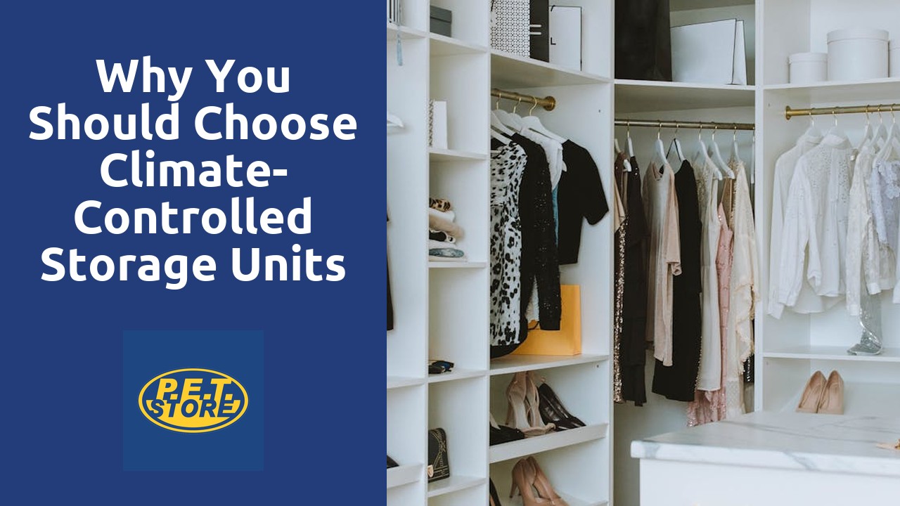 Why You Should Choose Climate-Controlled Storage Units